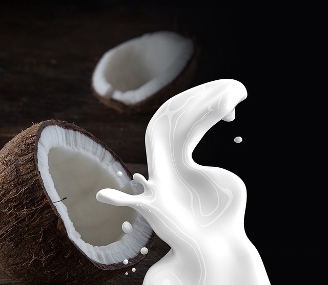 DIY Coconut Milk Leavein Hair Conditioner for Shiny Hair!